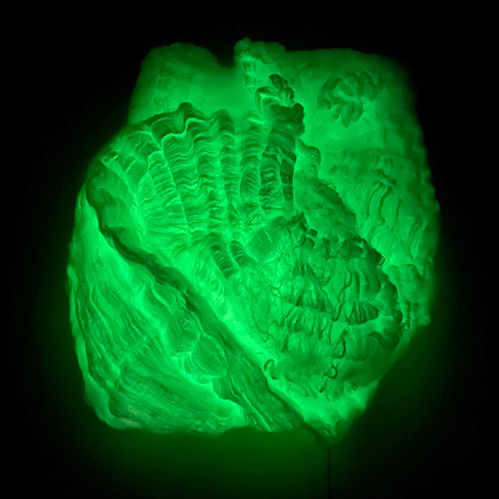 Toiles d'araignée fluorescentes pour Halloween, toiles d'araignée phosphorescentes, toiles d'araignée d'Halloween, décorations d'horreur en plein air