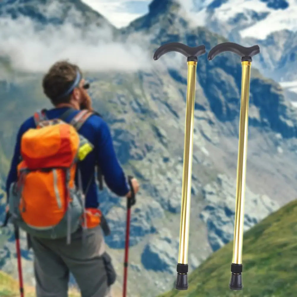 Bâton de marche 2 sections longueur béquille antidérapante canne de randonnée bâton de trekking en alliage d'aluminium canne de randonnée robuste bâton de trekking