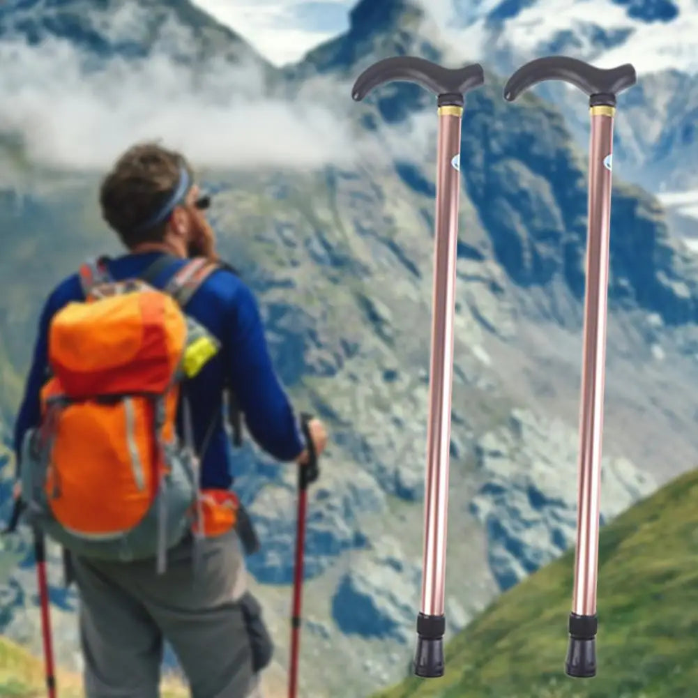Bâton de marche 2 sections longueur béquille antidérapante canne de randonnée bâton de trekking en alliage d'aluminium canne de randonnée robuste bâton de trekking