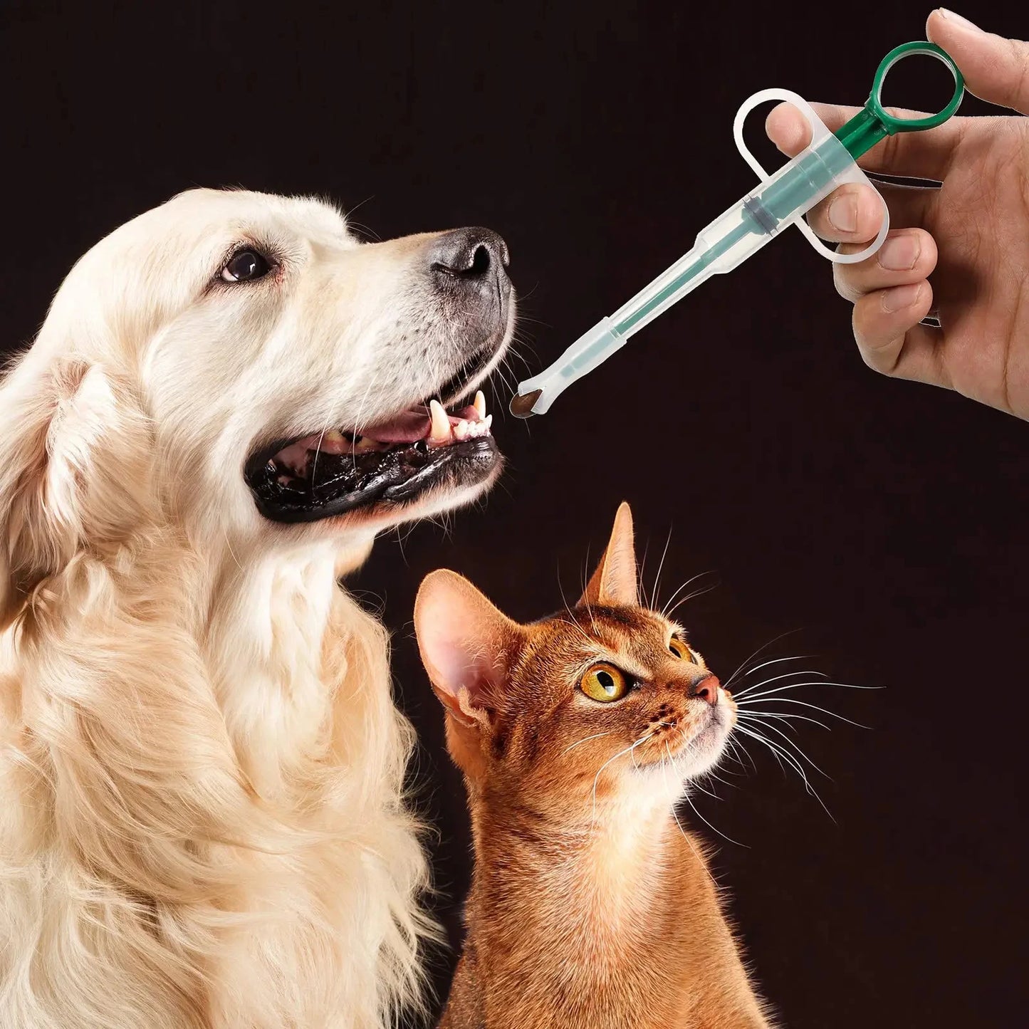 Distributeur de médicaments pour animaux de compagnie, bâtonnet d'alimentation à pression pour chats et chiens, pilules alimentaires, pilules, artefacts médicamenteux, soins pour animaux de compagnie