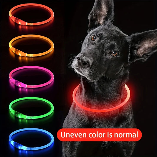 Collier lumineux LED pour chien, rechargeable par USB, anti-perte