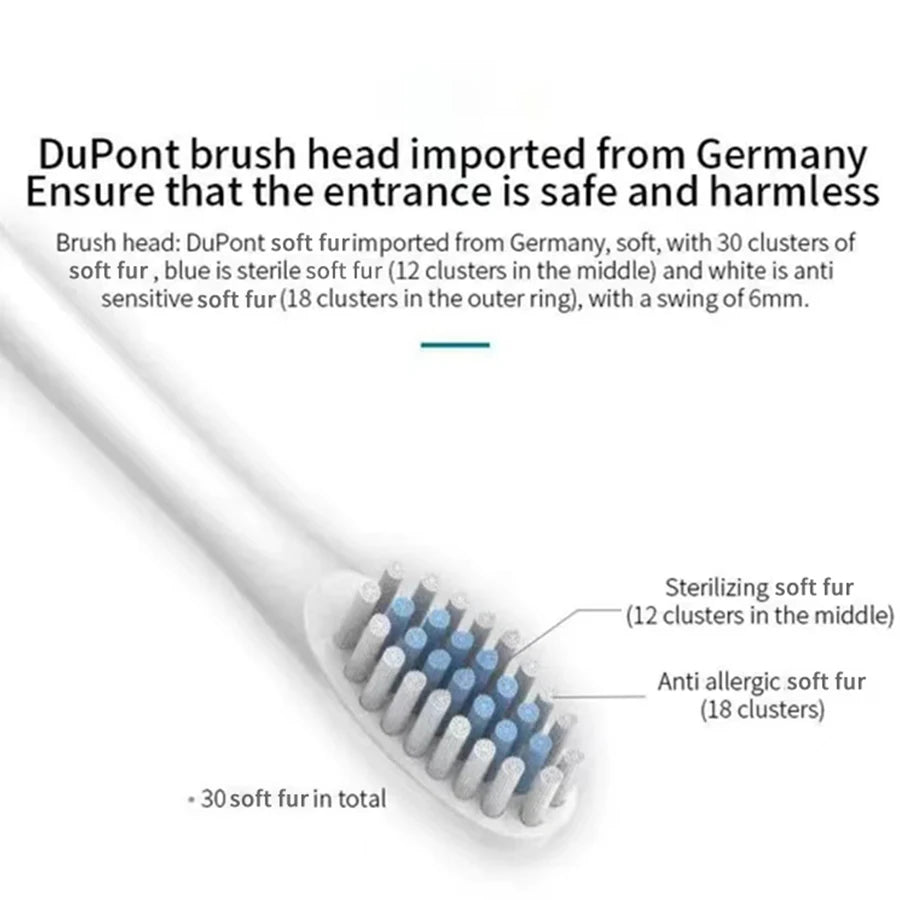 Brosse à dents électrique sonique pour adultes, tête de brosse DuPont étanche IPX7, rechargeable par USB, nettoyage haute fréquence, 6 modes de nettoyage