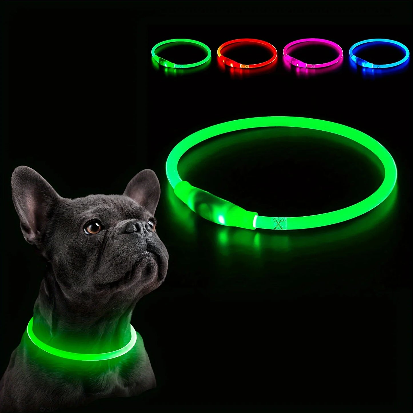 Collier lumineux LED pour chien, rechargeable par USB, anti-perte