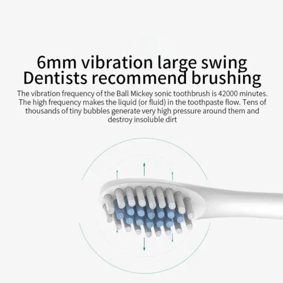 Brosse à dents électrique sonique pour adultes, tête de brosse DuPont étanche IPX7, rechargeable par USB, nettoyage haute fréquence, 6 modes de nettoyage